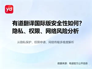 有道翻译国际版安全性如何？隐私、权限、网络风险分析？