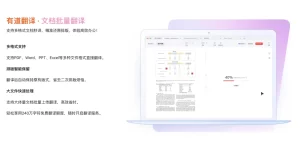 有道翻译国际版常见问题大全：安装、无法使用、翻译异常一次解决？